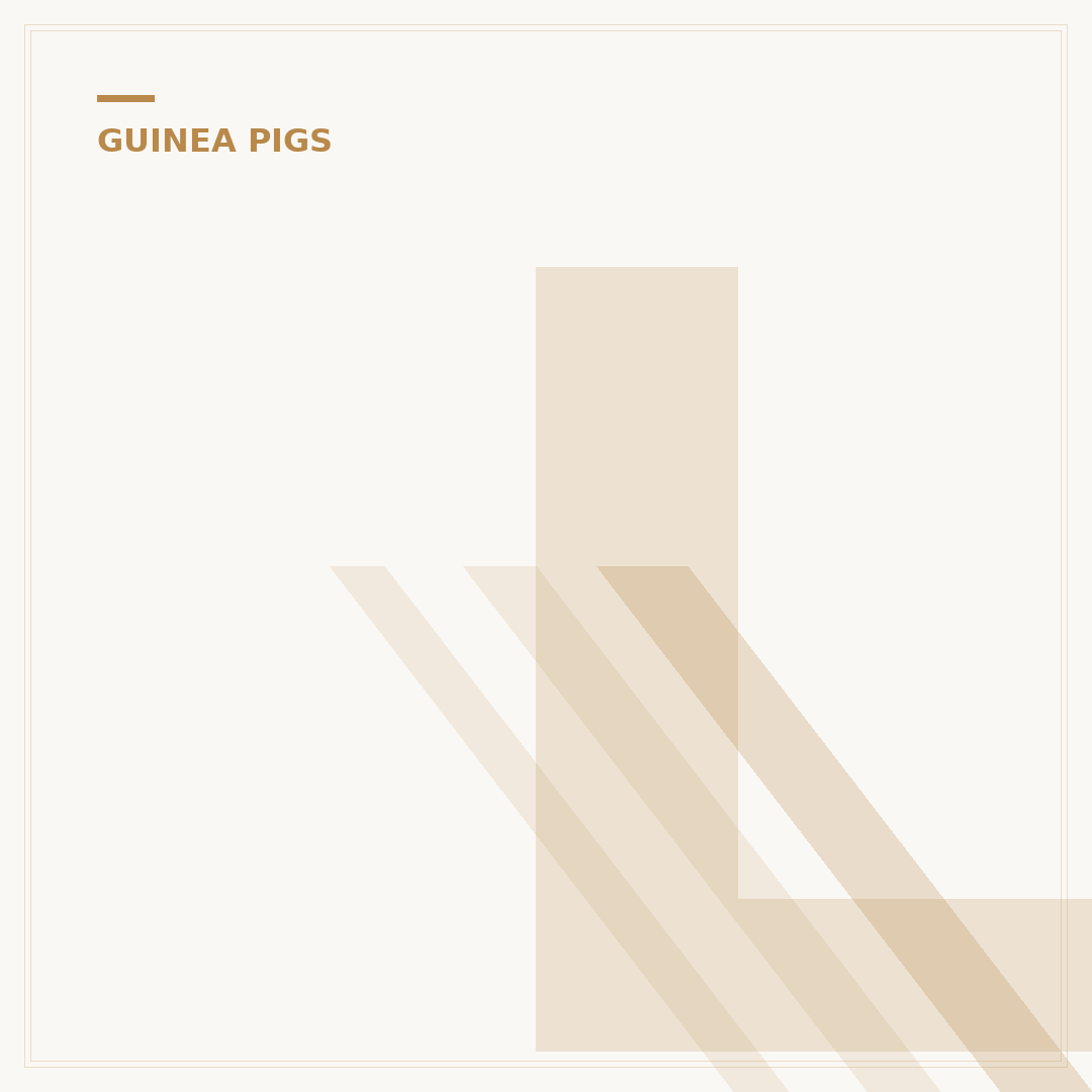 Lifetime of Guinea Pigs