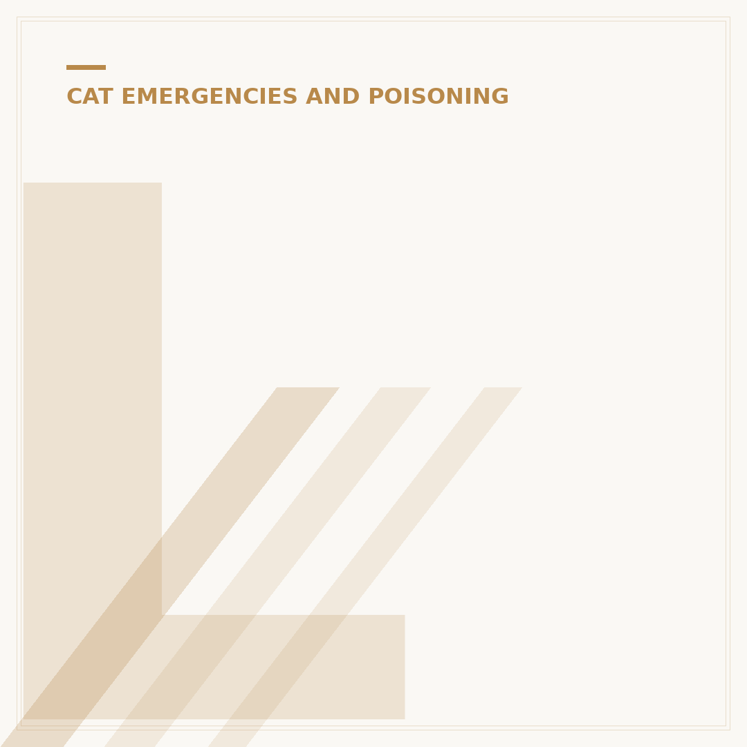 Lily Poisoning Symptoms in Cats: What You Must Know