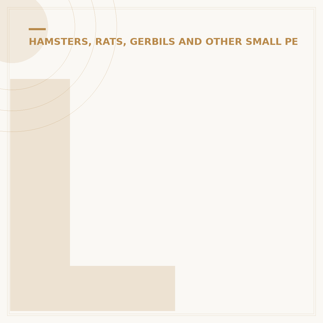 Long Haired Hamsters: Breeds, Care and Needs