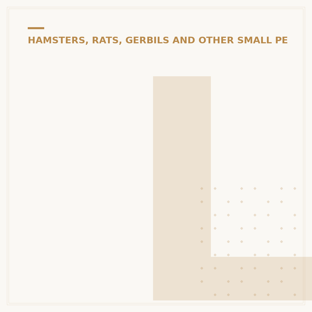 Long Haired Syrian Hamsters: Care and Traits