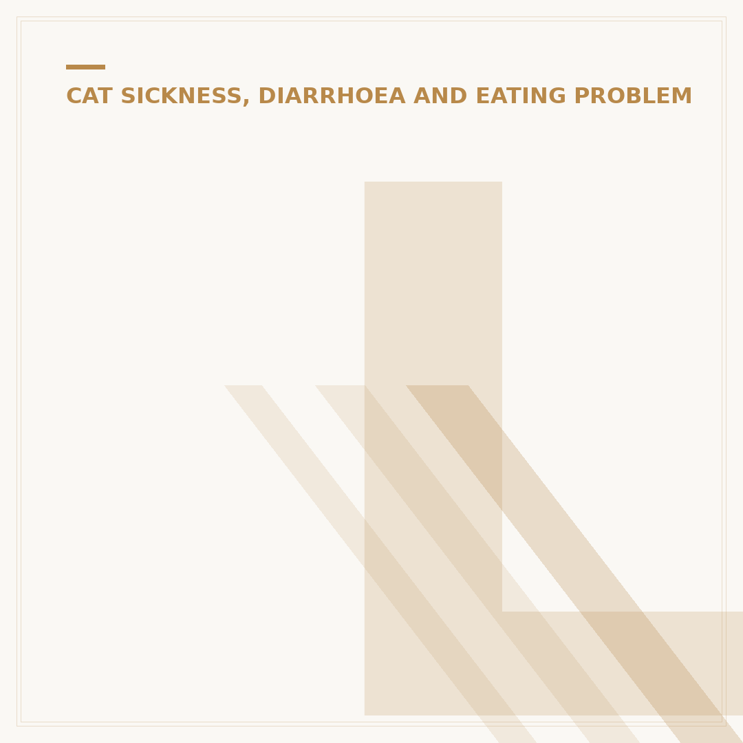 Loose Bowels in Cats: Causes, Treatments & When to See a Vet