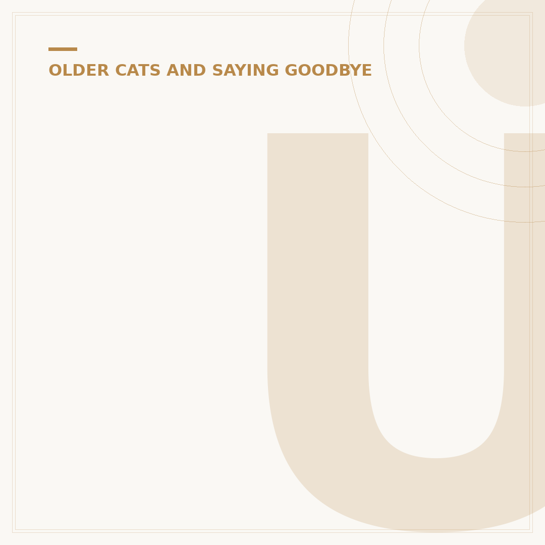 Understanding Loss of Teeth in Cats