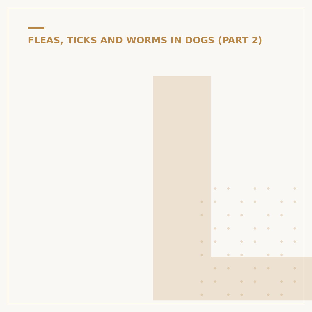 Lungworm Treatment for Dogs: Signs & Prevention