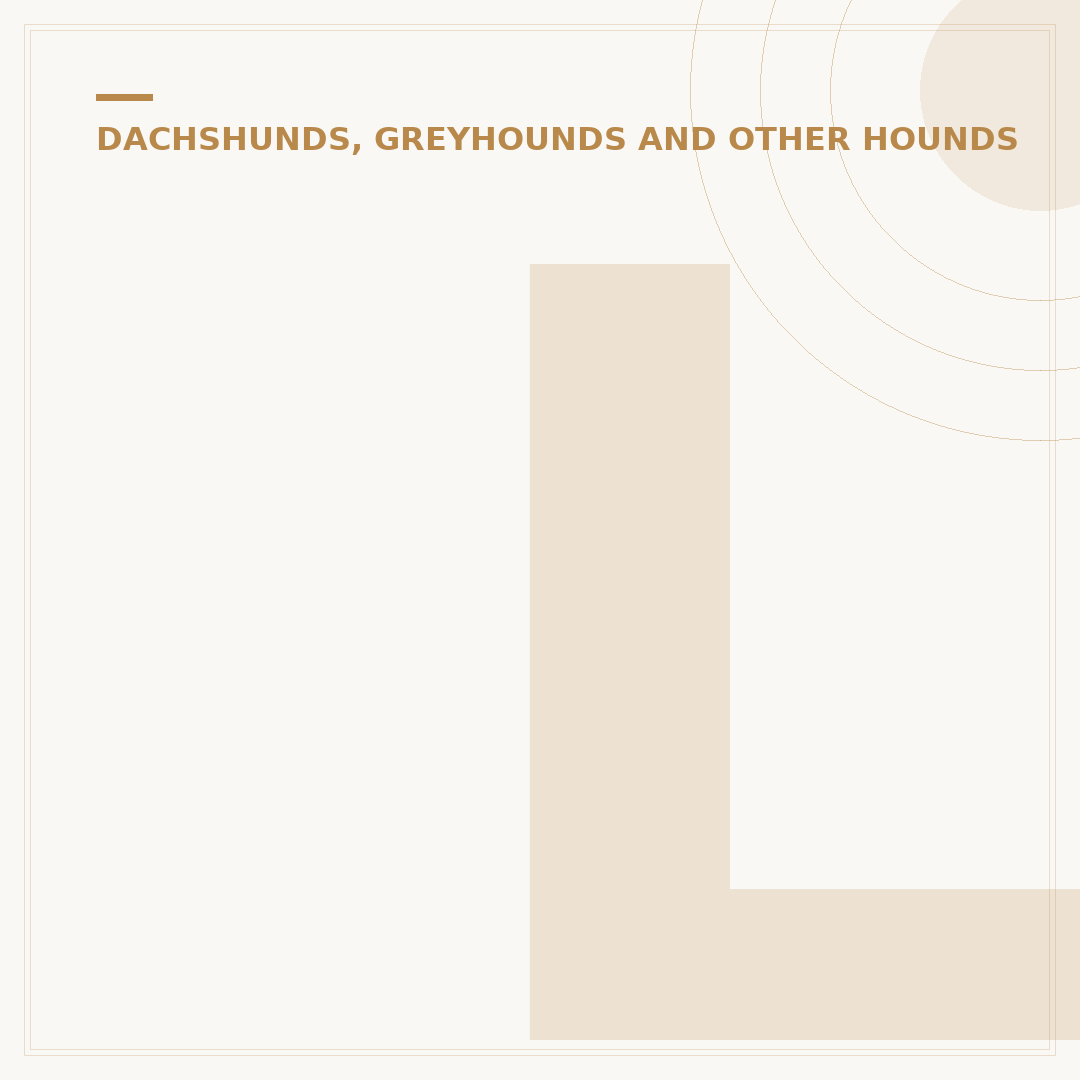 Lurcher vs Greyhound: Key Differences and What to Expect