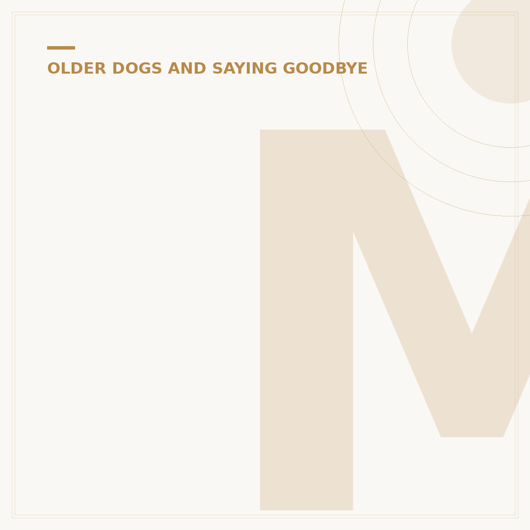 Mac DeMarco's This Old Dog Album