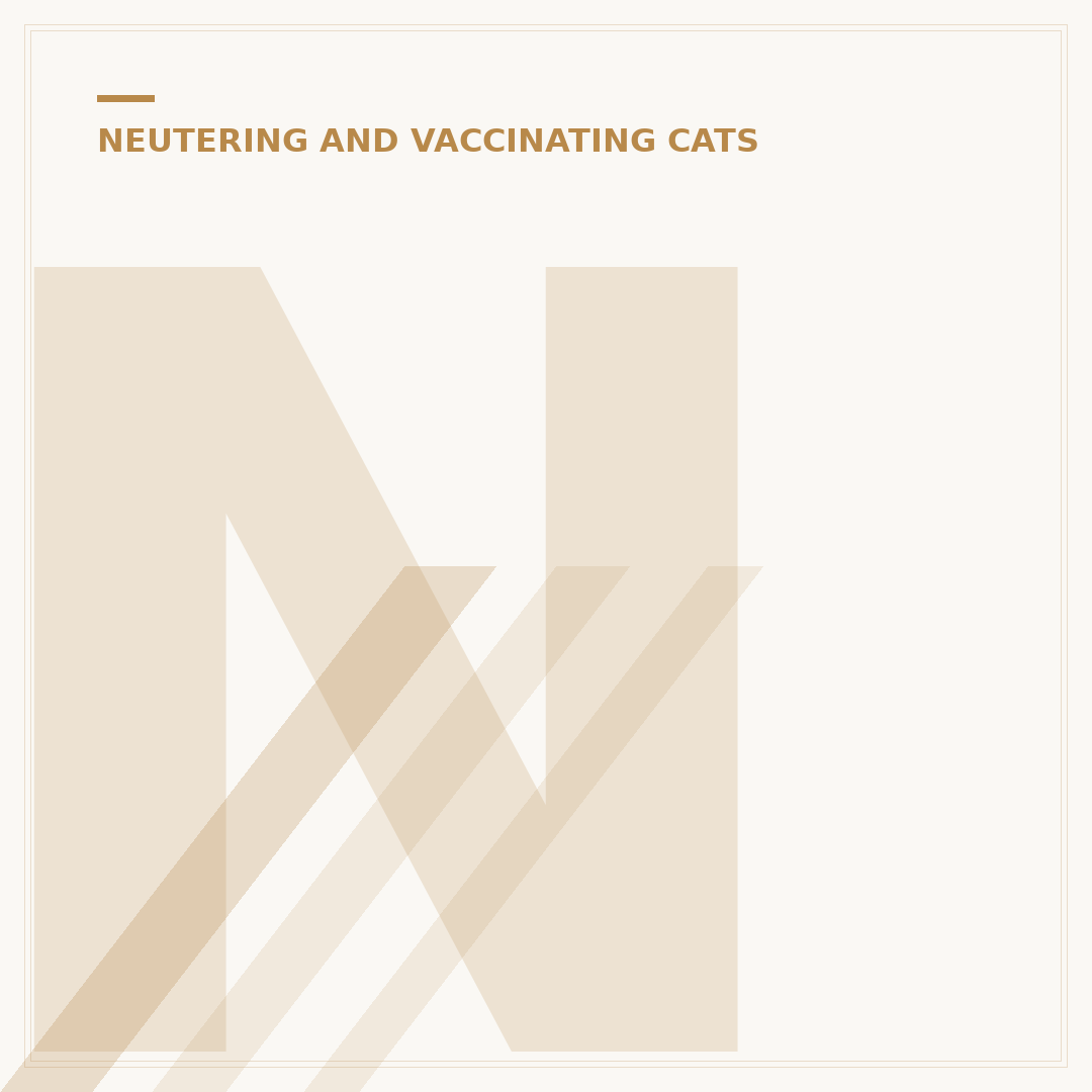 Neutering a Male Cat (Spay)