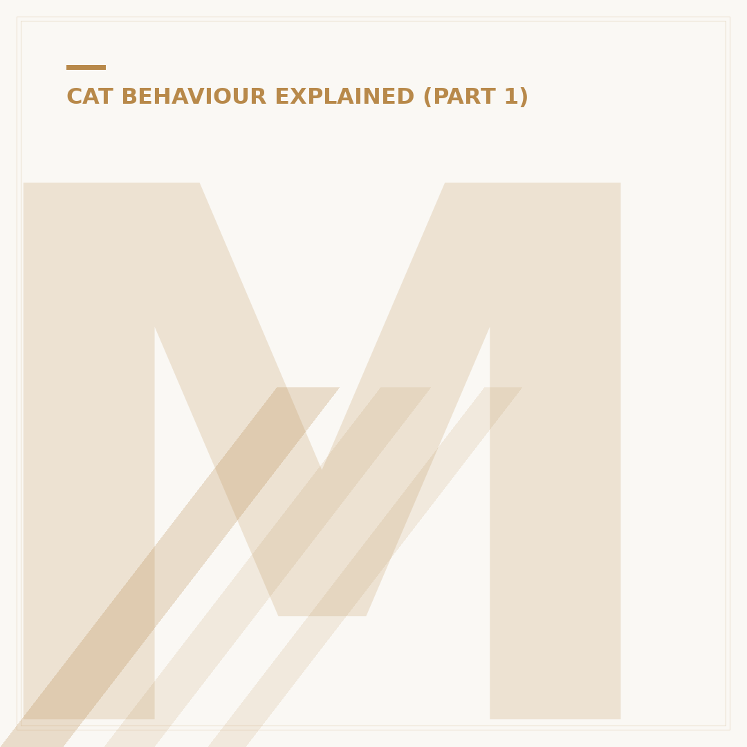 Male Cat Spraying: Understanding & Stopping the Behaviour