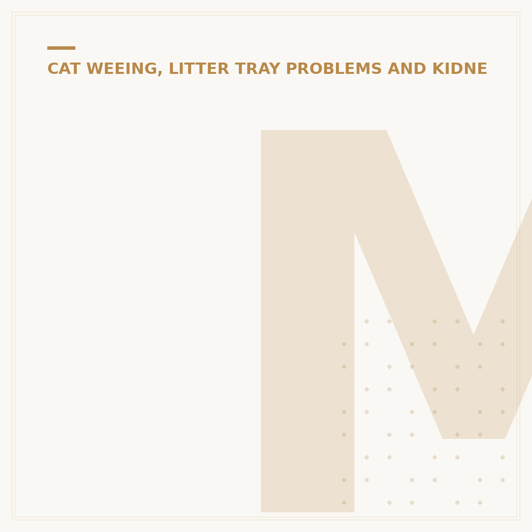 Male Cat UTI Treatment: Signs, Causes & Care