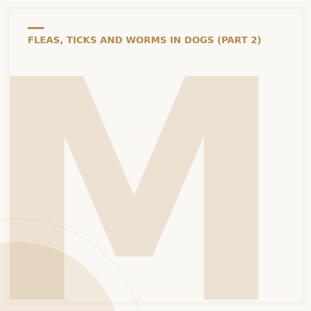 Mange Treatment for Dogs and Cats