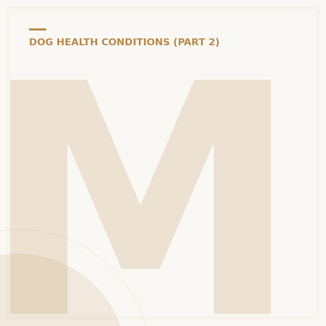 Mast Cell Tumours in Dogs: What Owners Need to Know