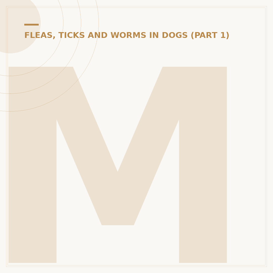 Meds for Ear Mites in Dogs: Treatment Options