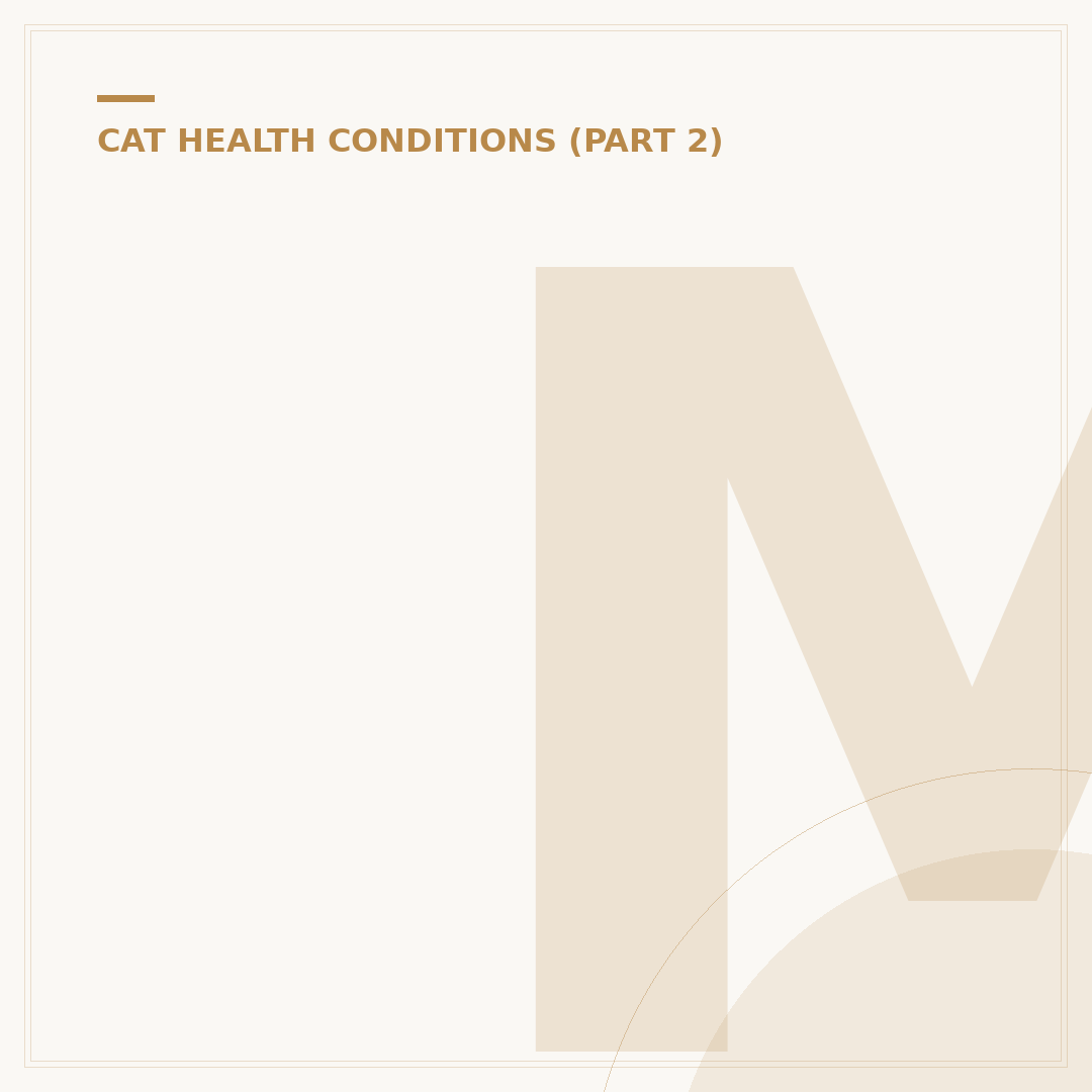 Melanoma in Cats: Understanding Symptoms and Risks