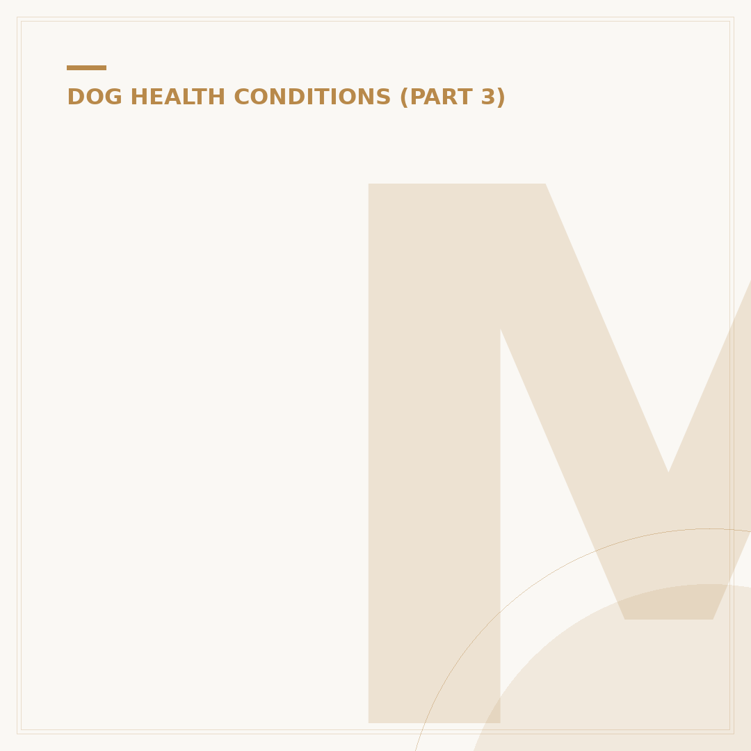 Meningoencephalitis in Dogs: Causes, Symptoms & Care