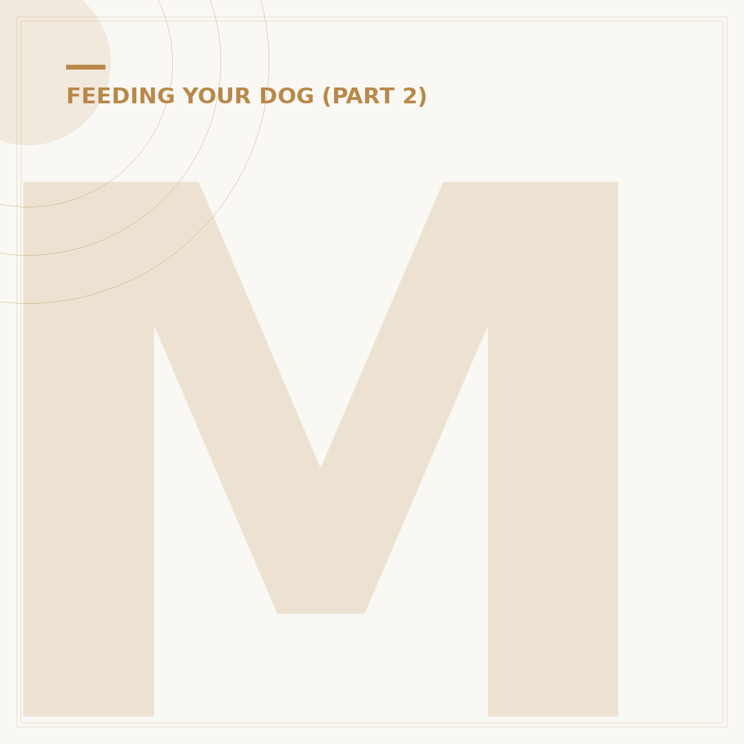 Mersey Raw Dog Food: What You Need To Know