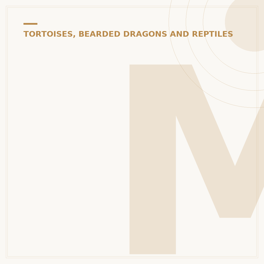 Metabolic Bone Disease in Bearded Dragons: Causes & Care