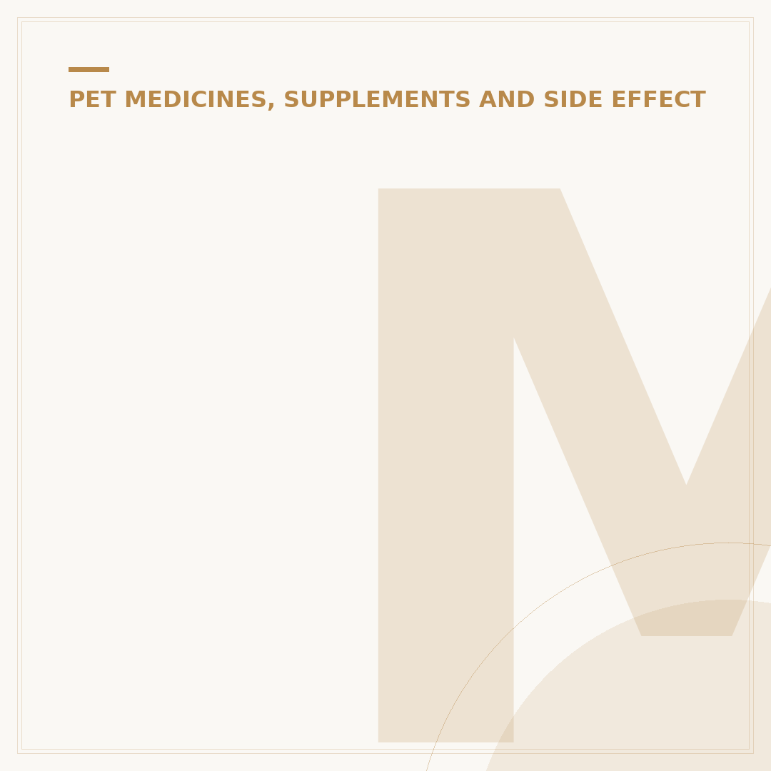 Metacam for Dogs: Pain Relief Explained
