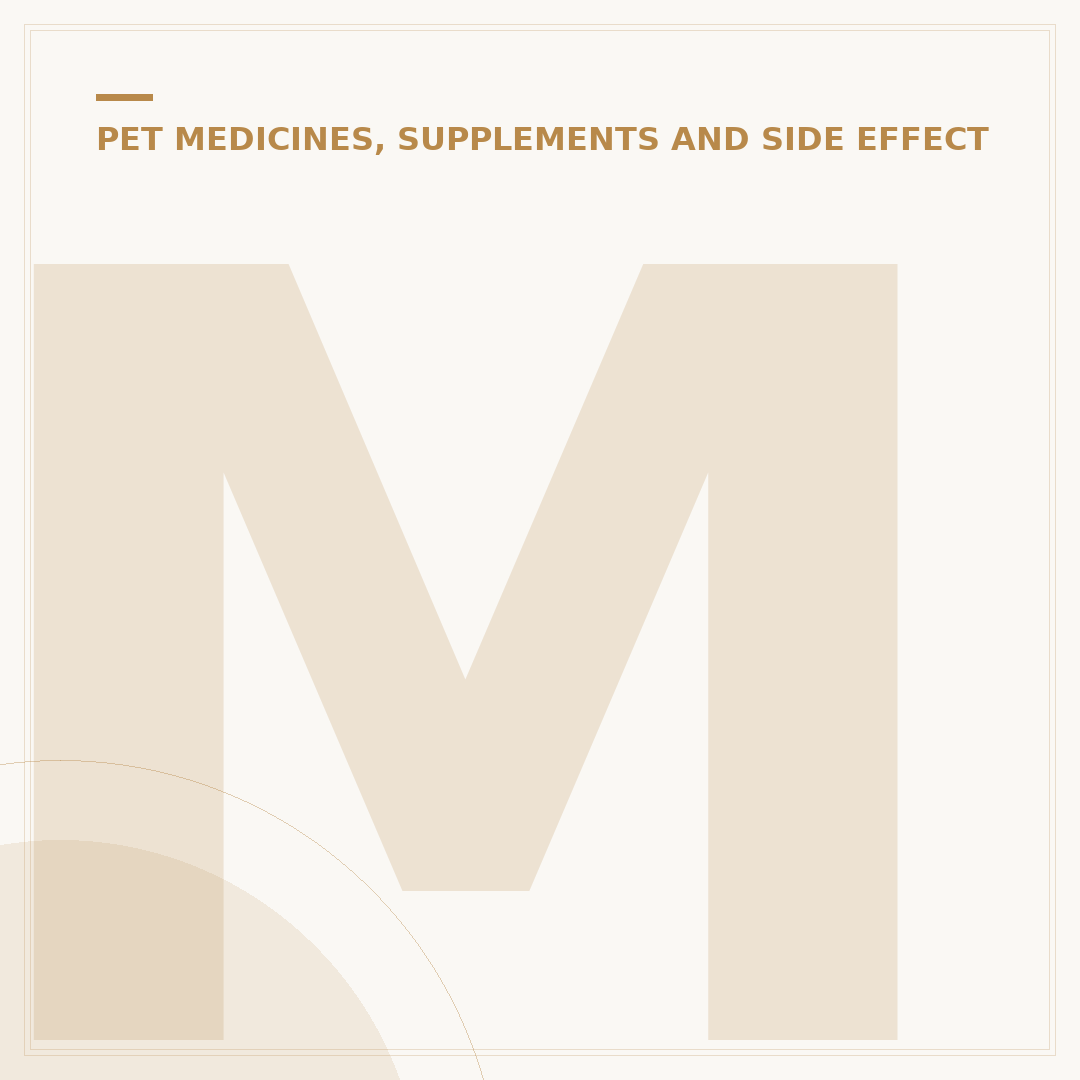 Metacam for Cats: Understanding Side Effects