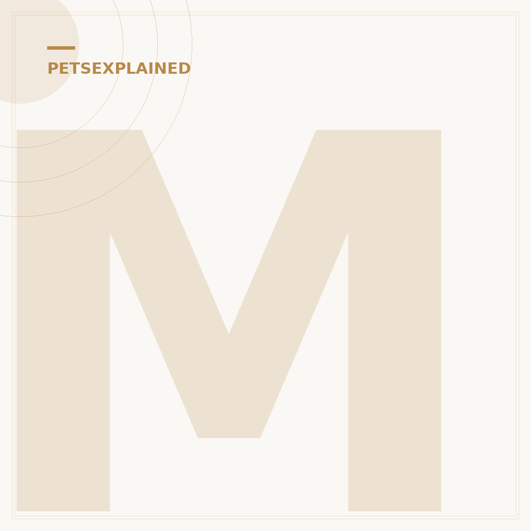 Methimazole for Cats: Managing Hyperthyroidism