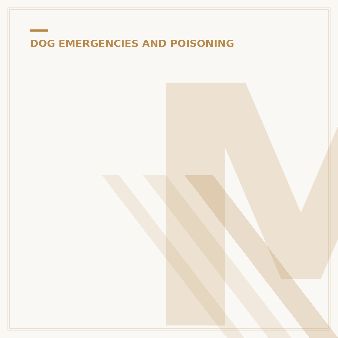 Mild Heat Stroke in Dogs: Symptoms & First Aid