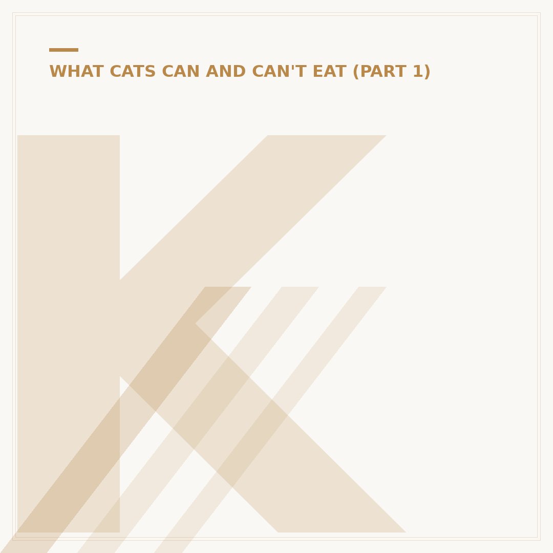Kitten Milk: What They Need and What to Avoid