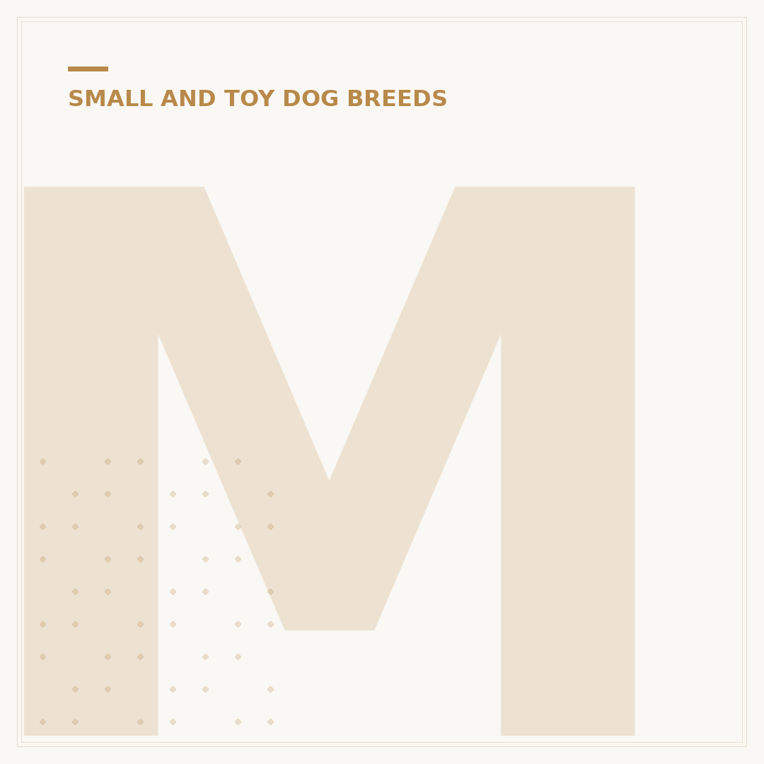 Mini Dachshund Poodle Mix: Traits & Care