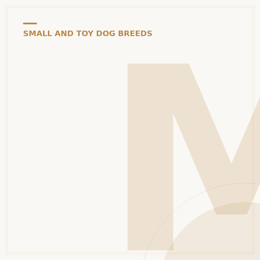 Miniature Schnauzer Dog: Temperament and Care