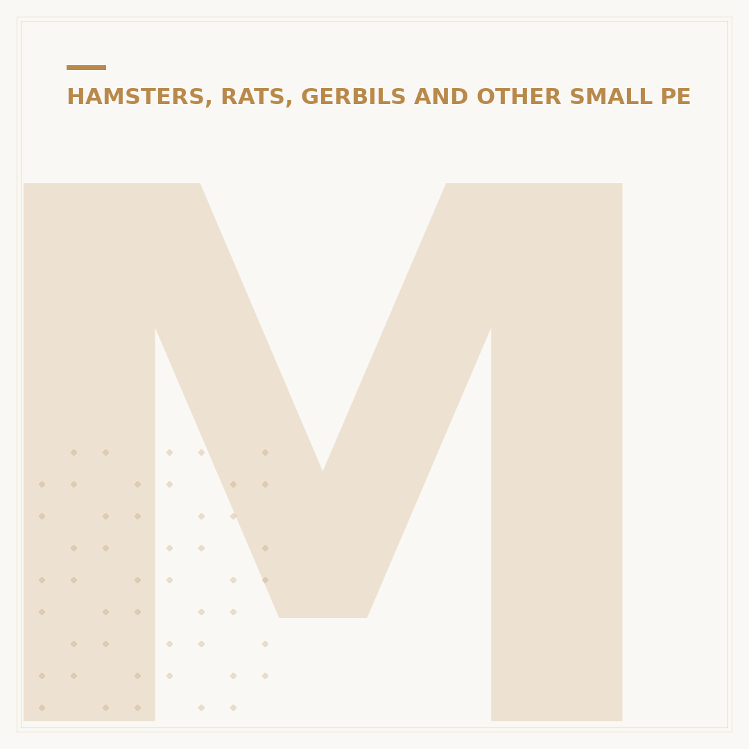 Minimum Hamster Cage Size: What Your Pet Needs