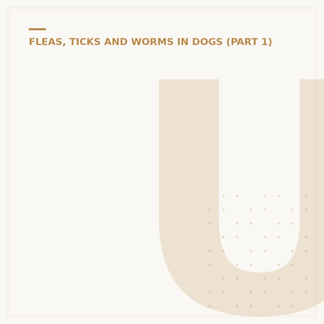 Understanding Mites in Dogs: Signs and Care