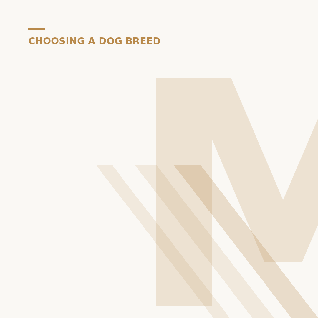 Mixed Breed Dog Behaviour Studies: What They Reveal