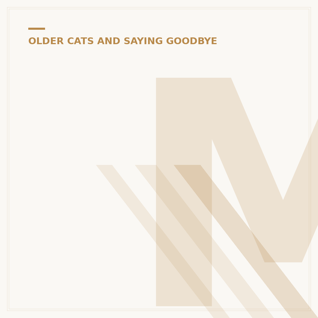 Moist Cat Food for Senior Cats: Key Benefits