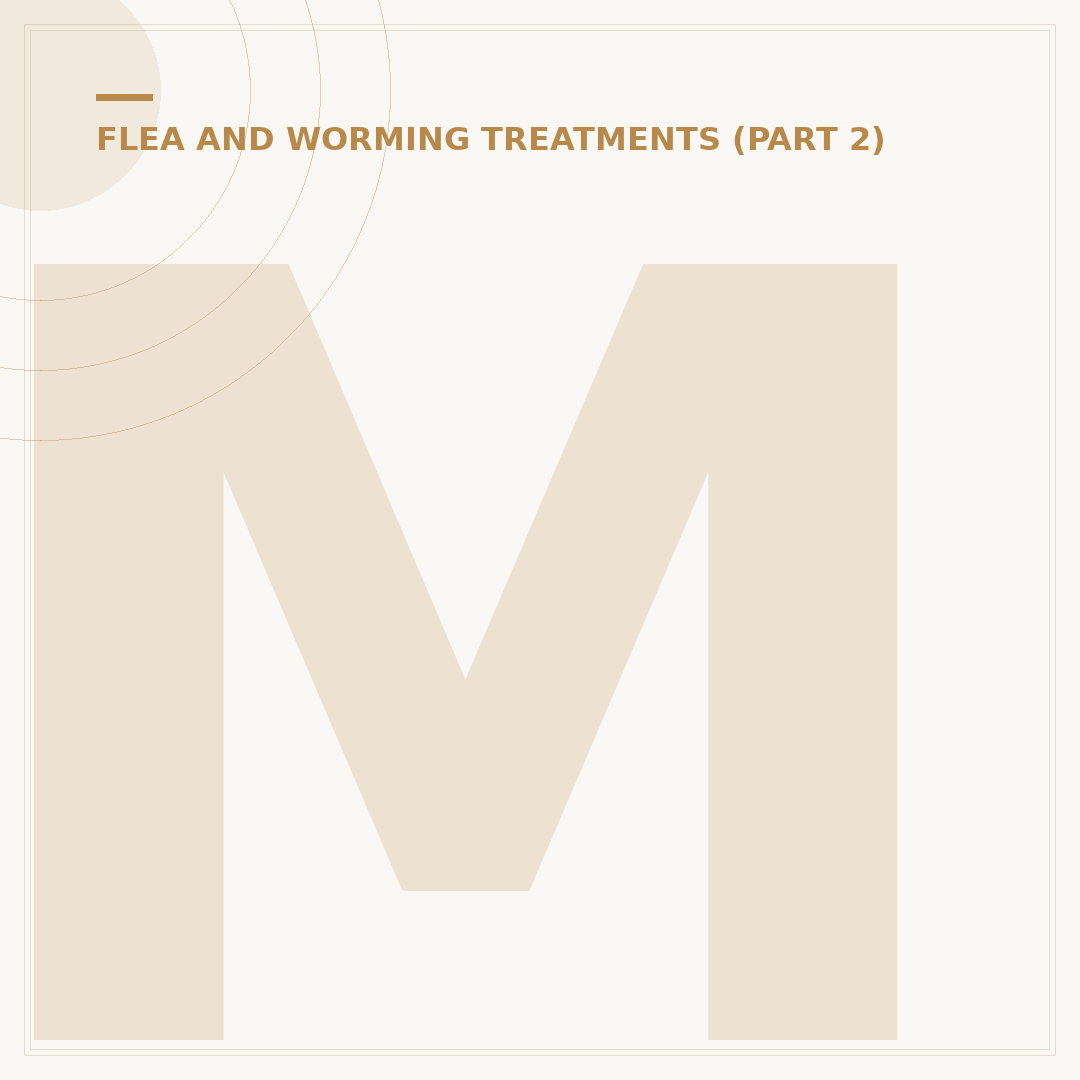 Monthly Flea Treatment for Dogs: What You Need to Know