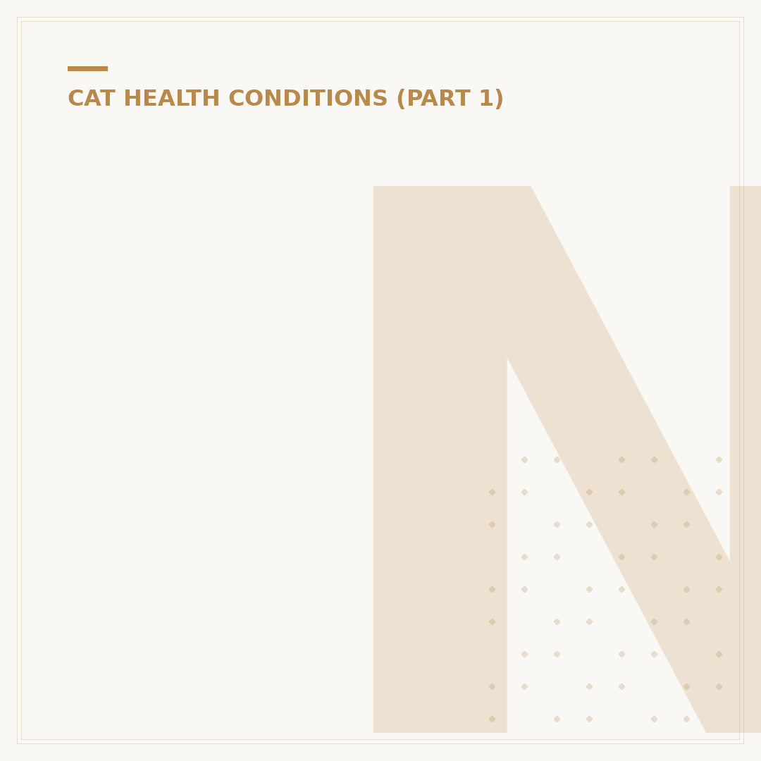 Nasal Carcinoma in Cats: Signs, Diagnosis, Treatment