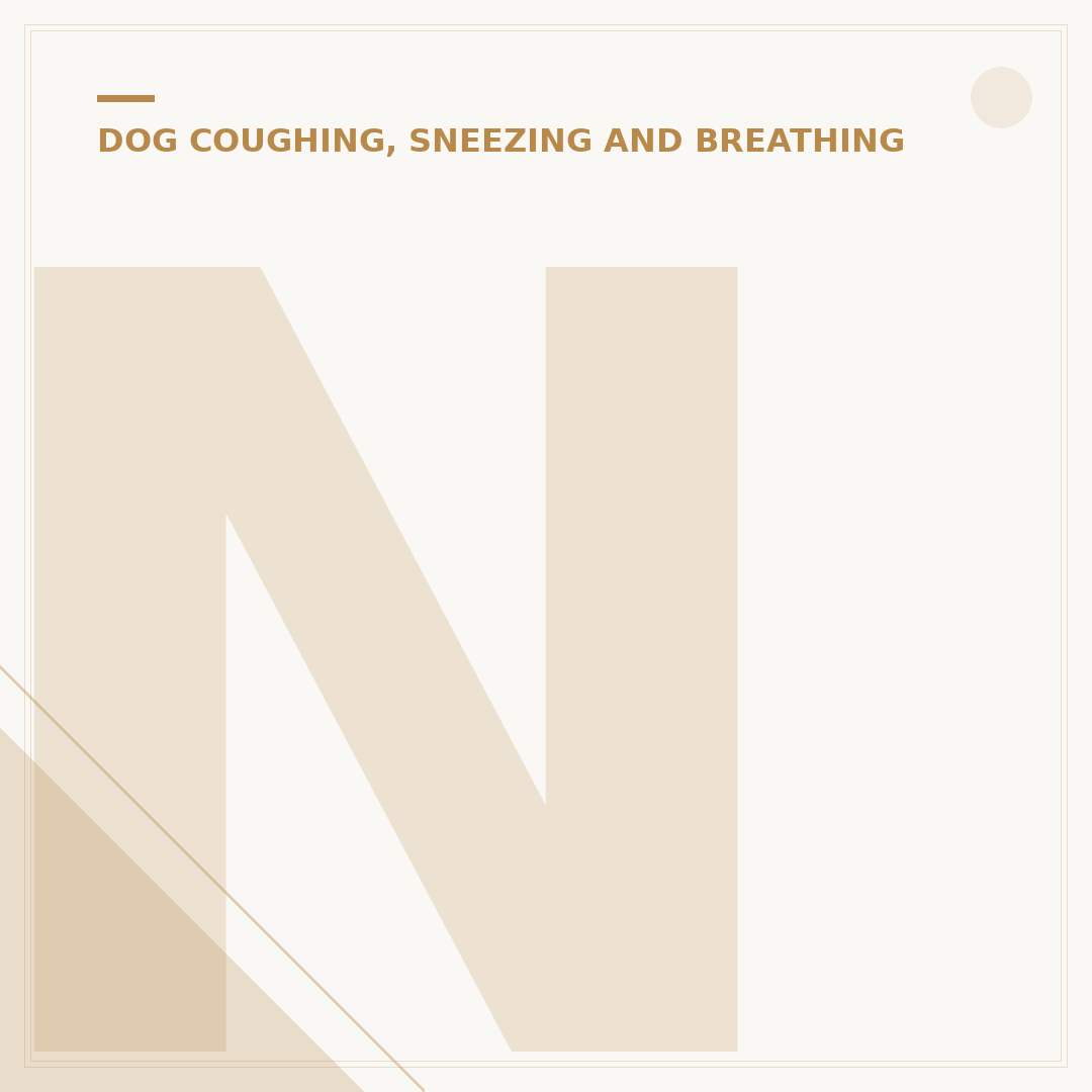 Natural Cure for Kennel Cough