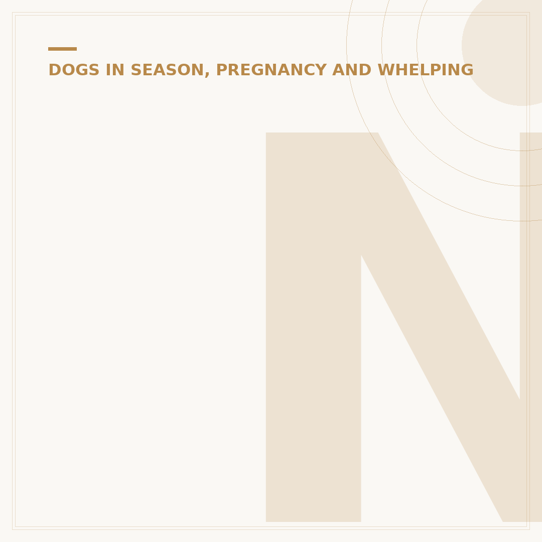 Natural Treatment for Dog False Pregnancy