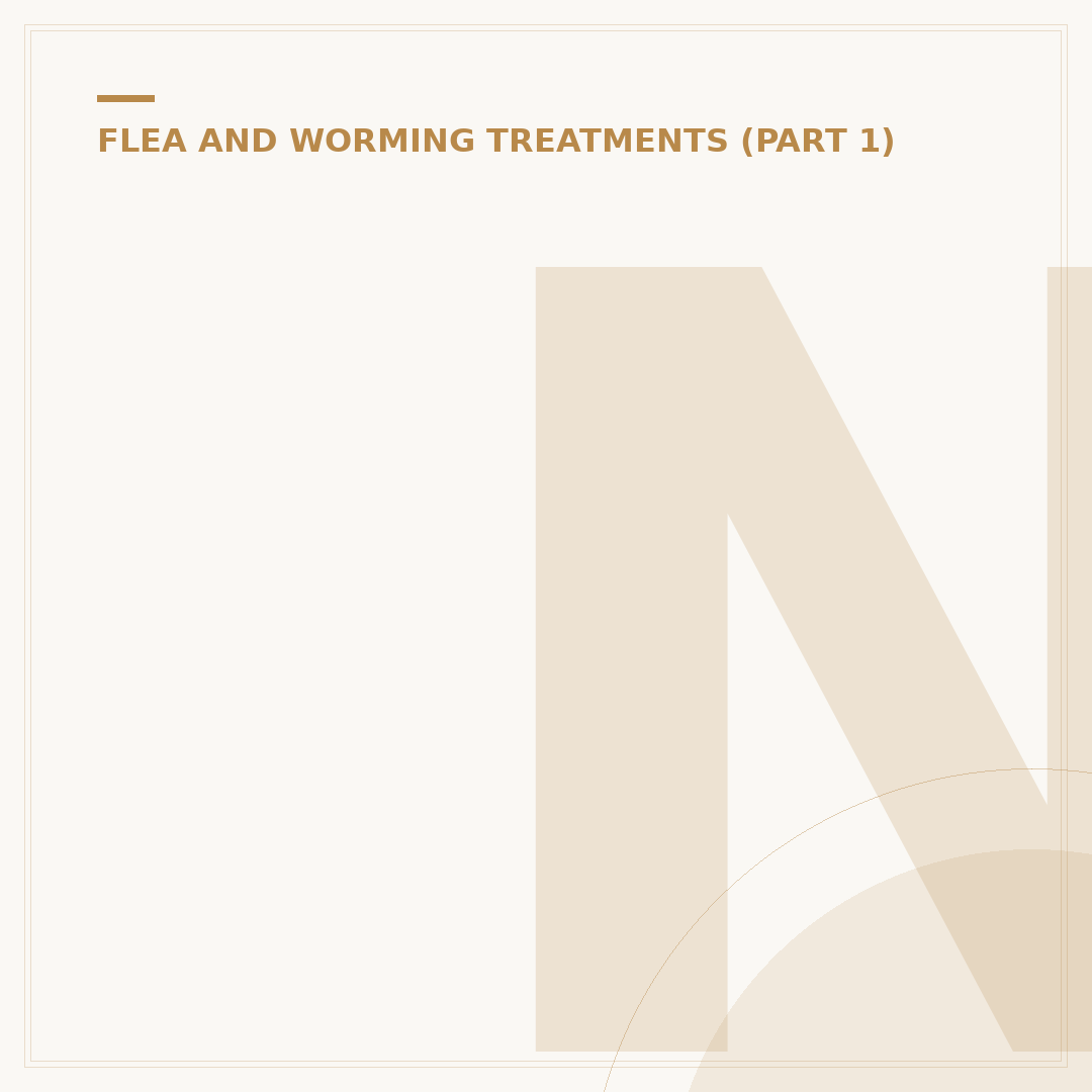 Natural Flea Treatment for Your House