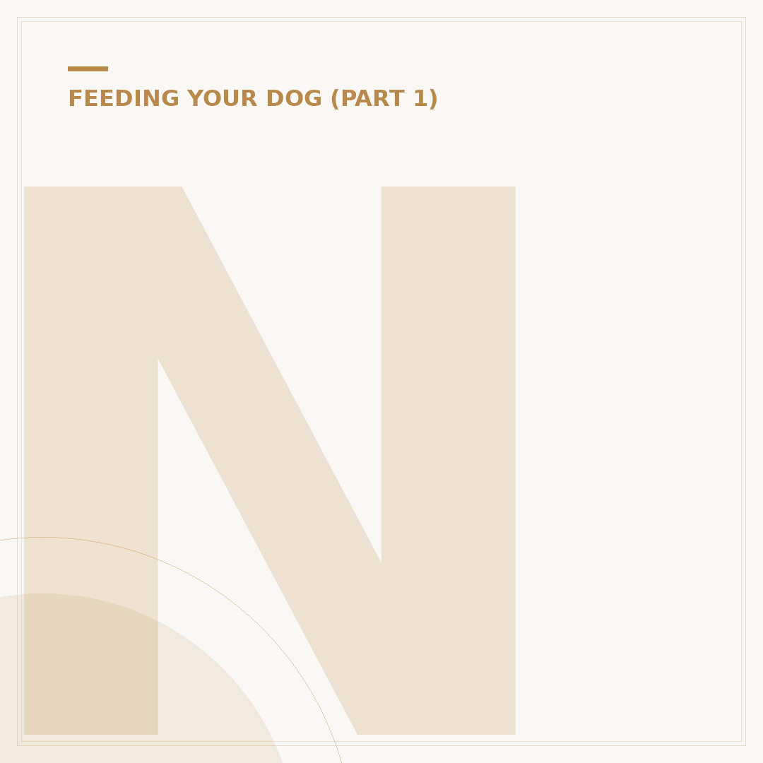 Natural Puppy Food