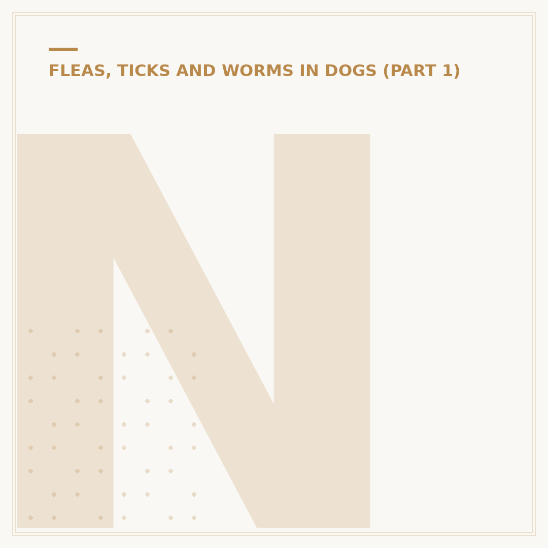Natural Tick Repellent for Dogs: Safe Options