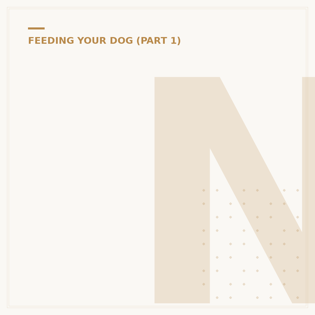 Naturo Dog Food: What Your Dog Needs