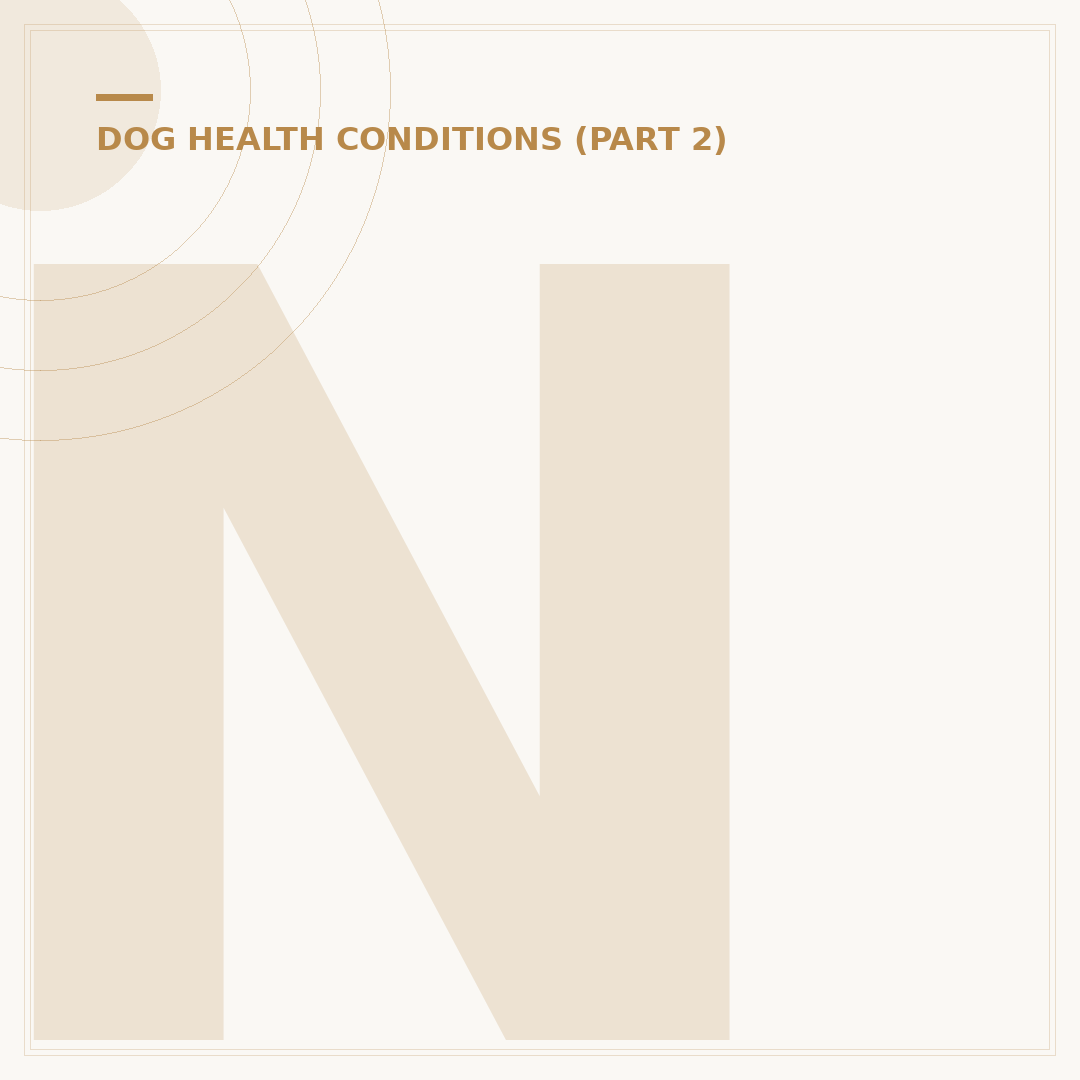 Neurological Illness in Dogs: Signs and What To Do
