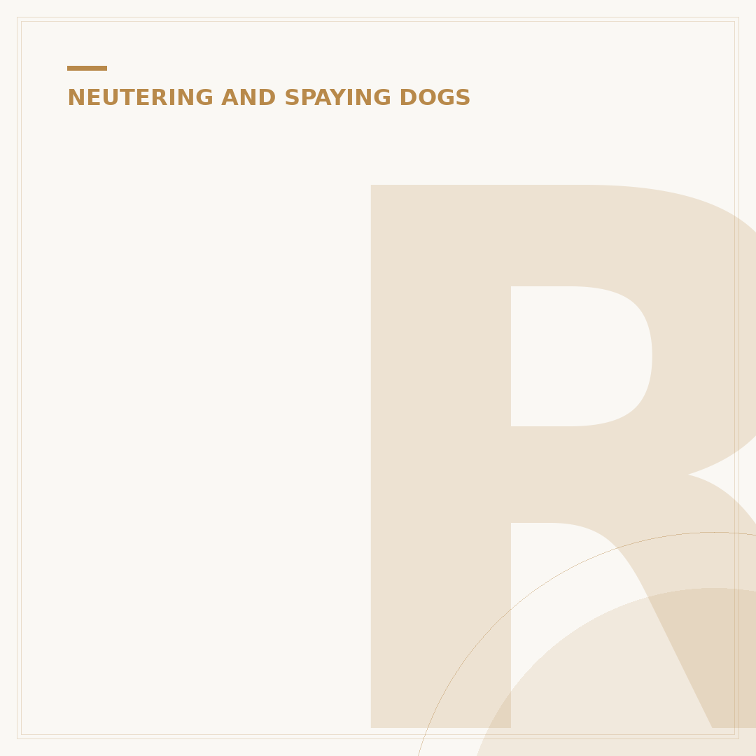 Recommended Neuter Age for Dogs