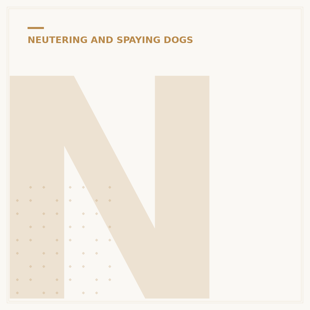 Neuter Dog Clinic: Understanding Canine Neutering Services