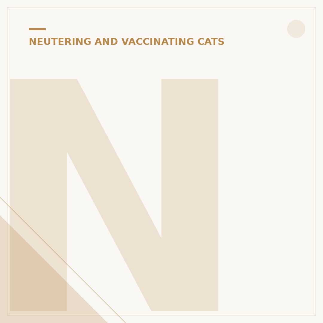 Neutered Cat Spraying: Causes and How to Stop It
