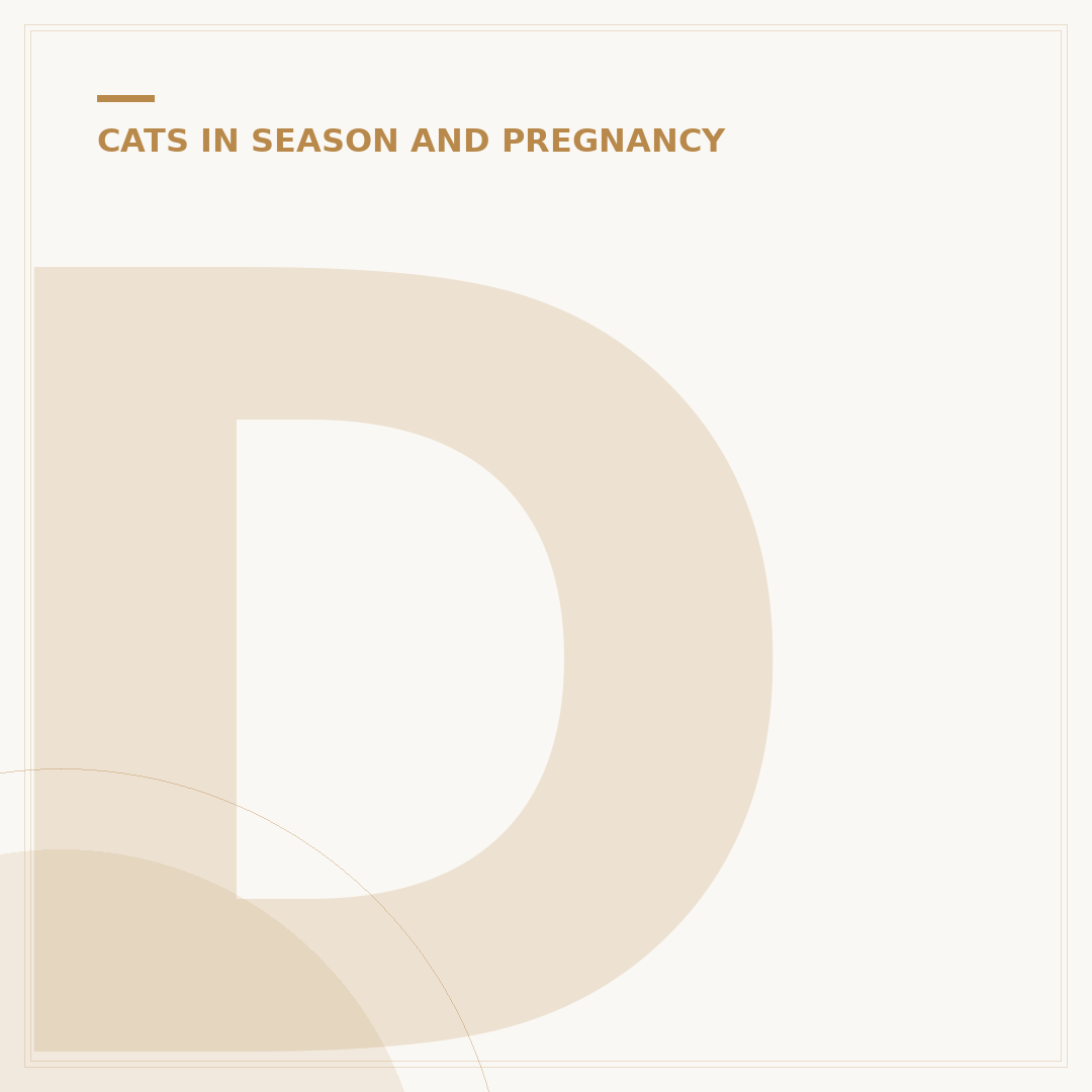 Do Neutered Cats Still Mate? Understanding Behaviour
