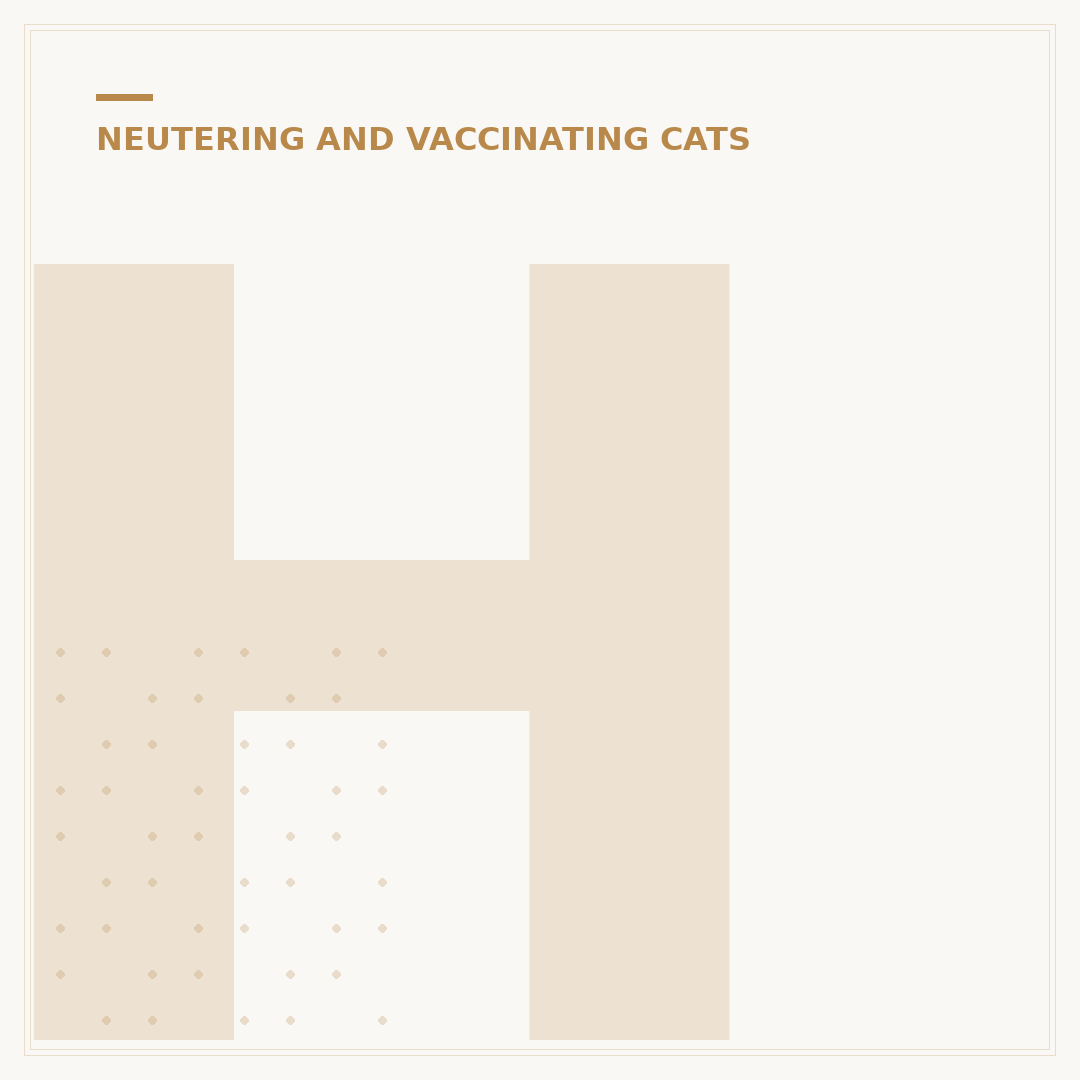How Long After Neutering Cat is Testosterone Gone?