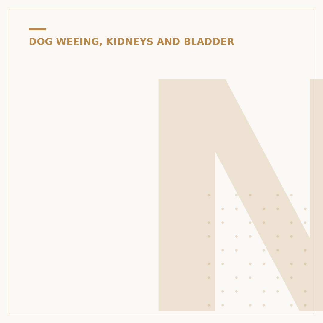 Neutralising Dog Wee: Odour and Stain Removal Tactics