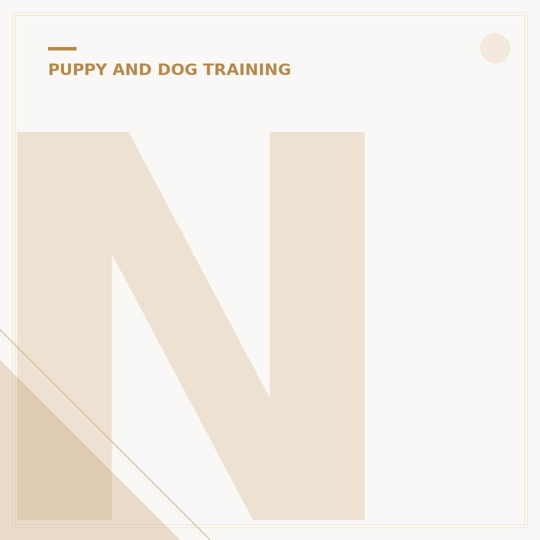 Next Level Dog Training: Advanced Techniques Explained