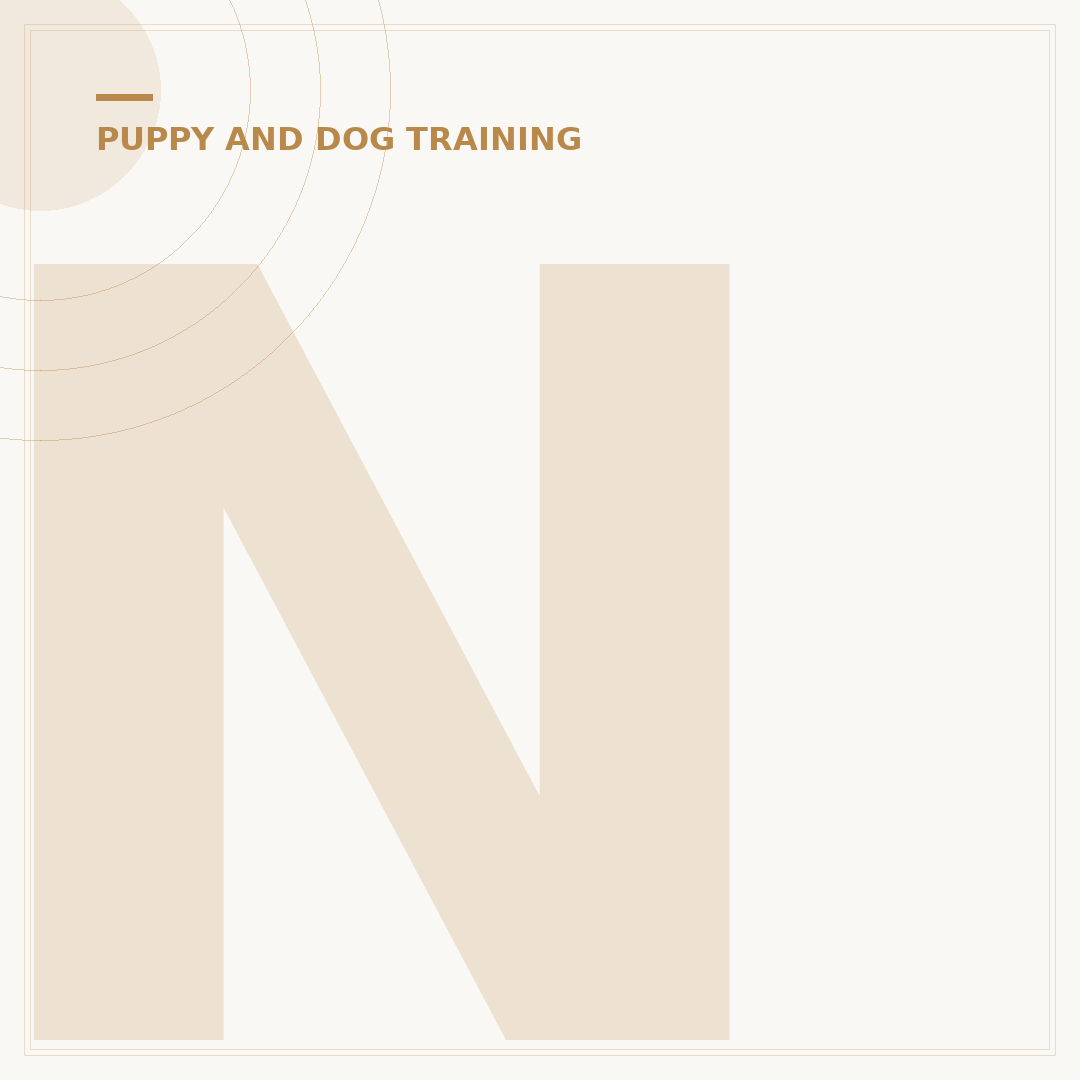 No Monkey Business Dog Training: Serious Methods