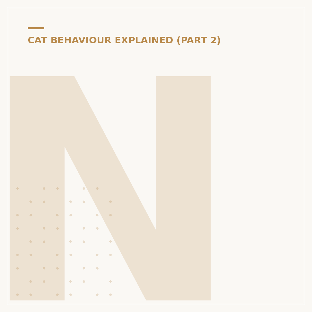No Smell Cat Litter Box: Solutions for Odour Control