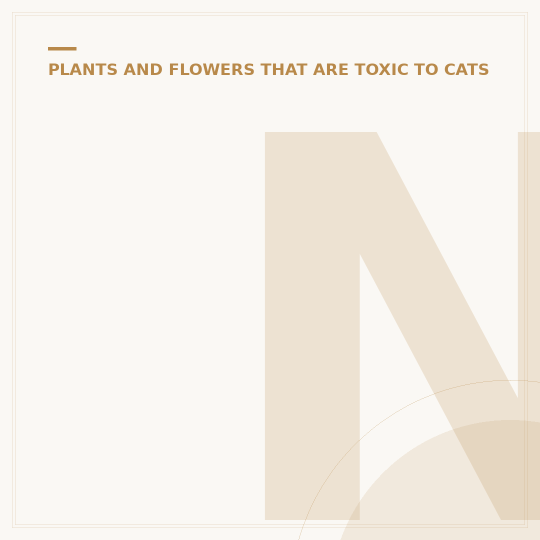 Non-Poisonous Plants for Cats
