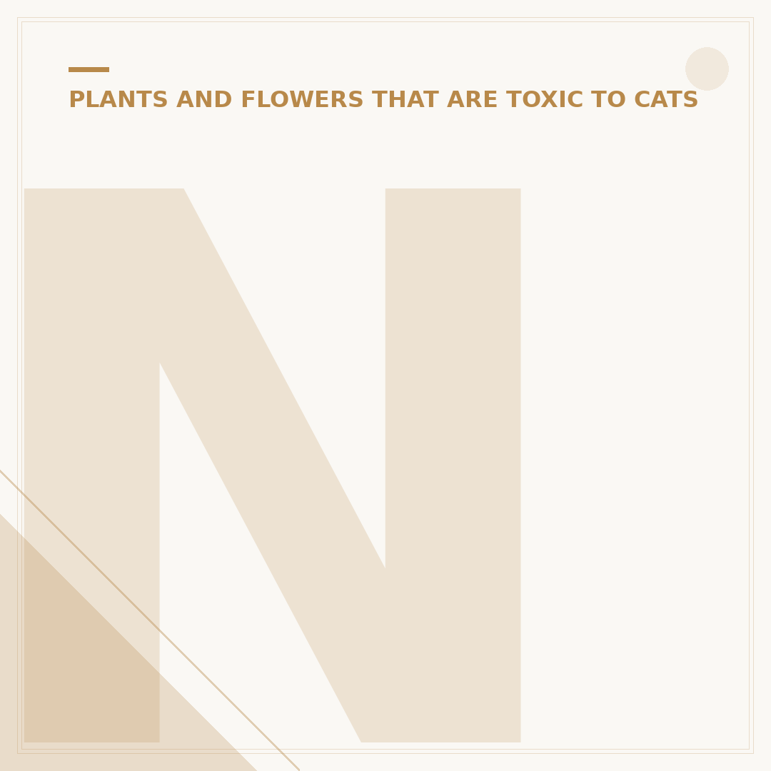 Non-Toxic Plants for Cats